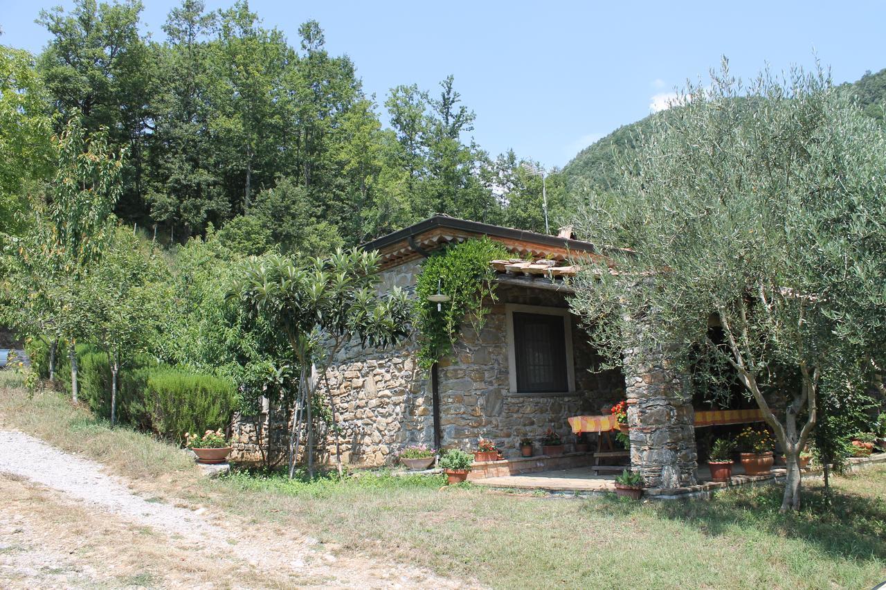 Case Vacanza S. Nicola Viggianello Extérieur photo